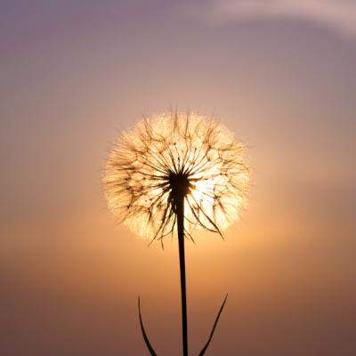 30 de proverbe indiene inteligente, care te vor pune pe ganduri