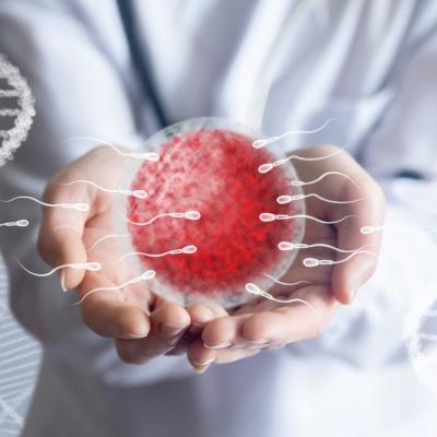 Astenozoospermia sau spermatozoizii ”leneși”: cauze și tratament