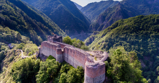 Panică la Cetatea Poenari: obiectivul turistic a fost închis după ce un urs a rupt gardul electric și a ajuns în zona turiștilor