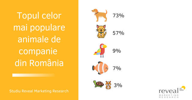 Pandemia ne-a apropiat de animăluțe! 2 din 10 români și-au cumpărat un animal de companie în starea de urgență 