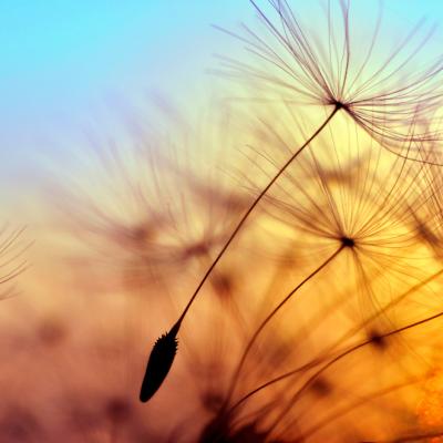 Tehnica 4-7-8: cum controlezi anxietatea