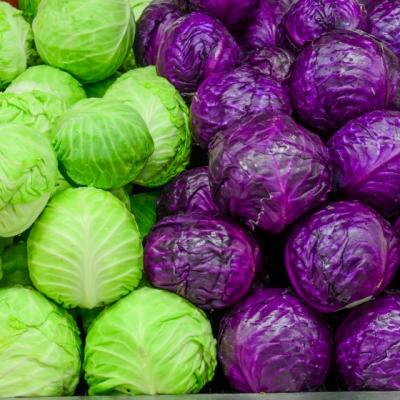 Varza alba vs. varza rosie. Care aduce mai multe beneficii sanatatii?