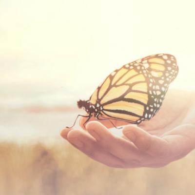 Meditatia activa – ghid de utilizare