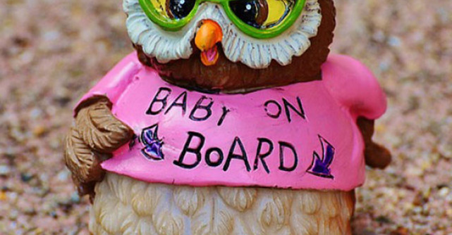 Dieta mamicii in devenire: bio vs. conventional