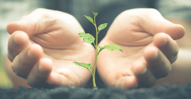 PĂMÂNT și RENAȘTERE, cuvintele cheie pentru săptămâna18-24  MARTIE 2019