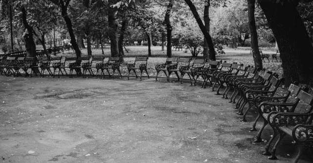 Cișmigiu Mon Amour: Declarație de dragoste pentru cel mai vechi parc din București