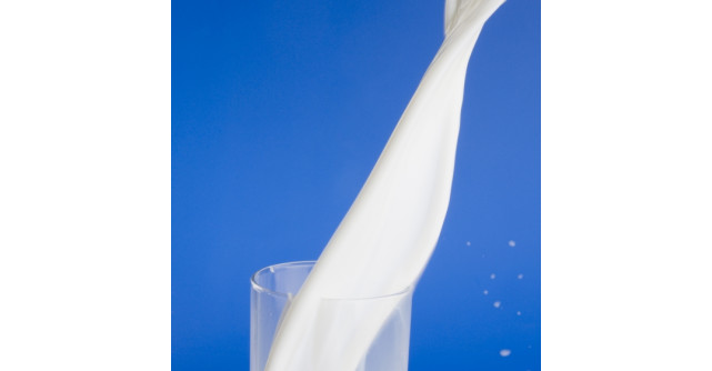 Napolact premiat pentru calitatea produselor la Monde Selection si iTQi