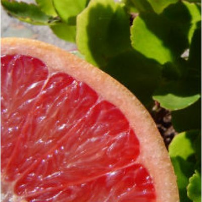 Cura de slabire si detoxifiere cu Pomelo