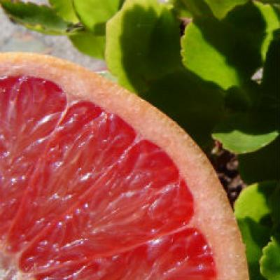 Cura de slabire si detoxifiere cu Pomelo