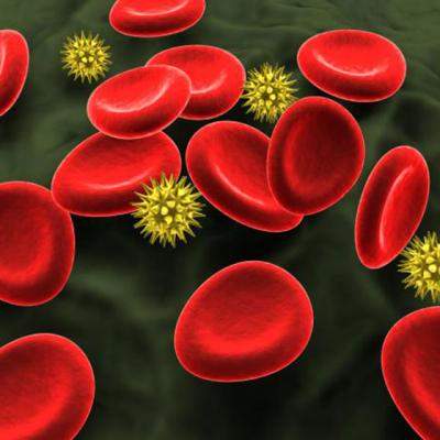 10 Cauze ale COLESTEROLULUI MARIT