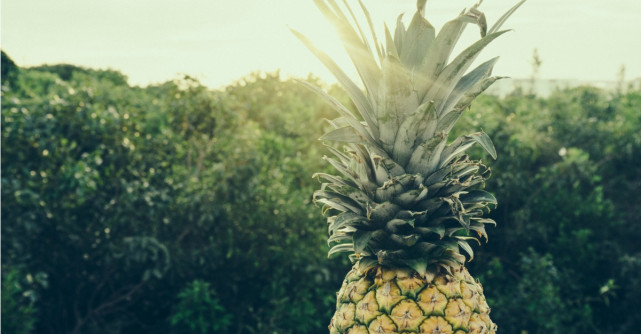 Ananasul: Beneficii si proprietati