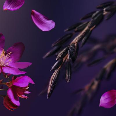 RITUALS TRANSFORMĂ EDIȚIA LIMITATĂ BESTSELLER THE RITUAL OF YOZAKURA ÎNTR-O COLECȚIE PERMANENTĂ