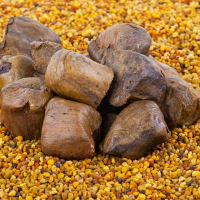 Din farmacia lui Dumnezeu: Beneficiile incredibile ale propolisului