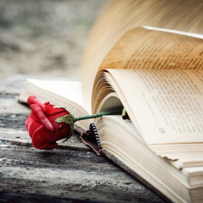 Destinat bibliotecii inimii tale: 10 cărți de dragoste care îți vor încânta sufletul și îți vor aprinde imaginația