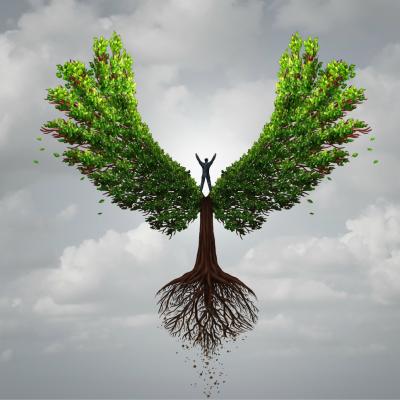 17 sfaturi înțelepte de la legendarul antrenor de basket John Wooden