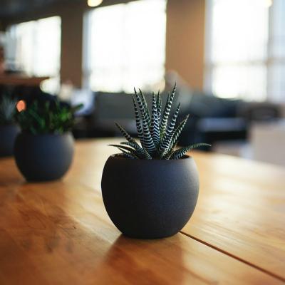 7 ghivece ornamentate în teme deosebite pentru decorațiuni jucăușe