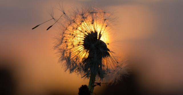 4 Lucruri pe care să ți le amintești și care te ajută atunci când te simți pierdută