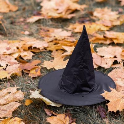 Costume de Halloween: Sugestii pentru copii și adulți