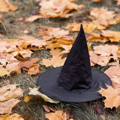 Costume de Halloween: Sugestii pentru copii și adulți