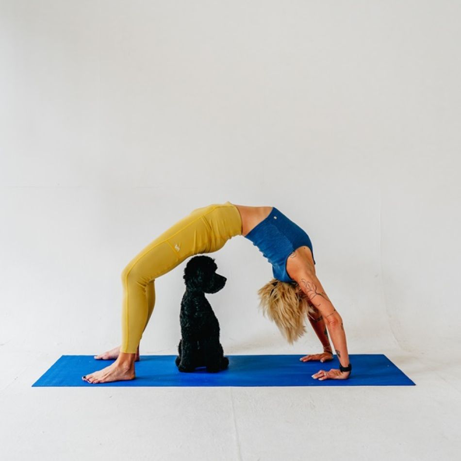 Pet Yoga: Beneficii pentru sănătatea ta și a animalului de companie