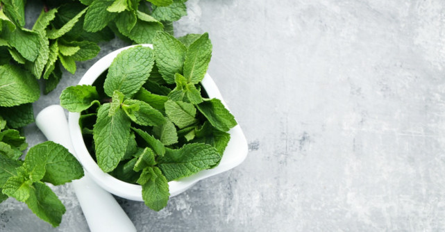 Menta, planta care nu ar trebui să lipsească din casă