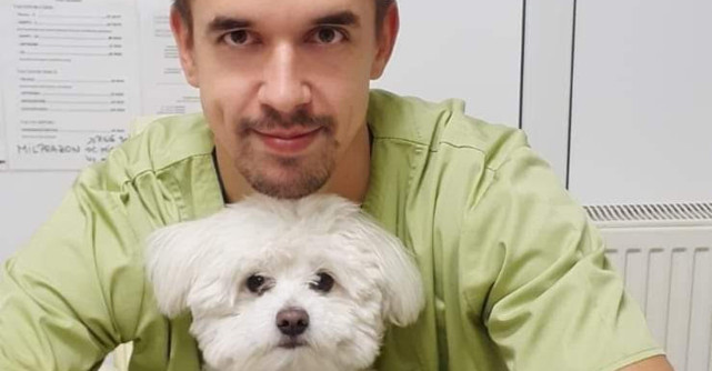  Sterilizarea la caini si pisici, recomandată de medicii veterinari