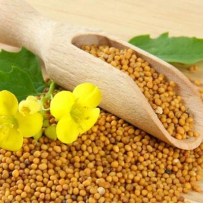 SEMINTELE DE MUSTAR: Fabuloase pentru sanatate! Au efect antiinflamatoriu, previn cancerul si ajuta in slabire