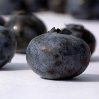 Acai, superfructul cu actiune antioxidanta exceptionala