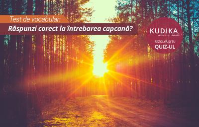 Test de vocabular: Raspunzi corect la intrebarea capcana?
