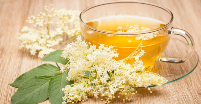 Plante care te lecuiesc de durerile articulare