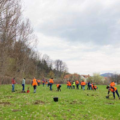DS Smith își extinde implicarea în dezvoltarea comunității din Zărnești prin noi inițiative cheie
