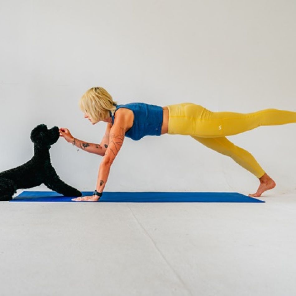 Pet Yoga: Beneficii pentru sănătatea ta și a animalului de companie