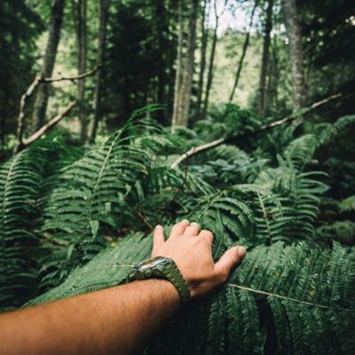 Influencer celebru la Survivor România! Big blană sus jos cap coadă!