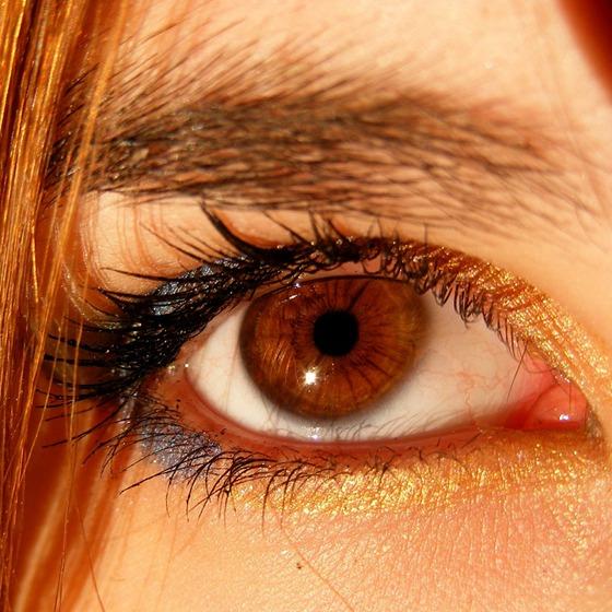 Cum obtii machiajul perfect daca ai ochii caprui