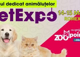 PetExpo 2026 – Două zile în care iubirea pentru animale devine spectacol