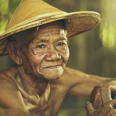 Povestea care a cucerit o lume intreaga. Citeste-o si tu!