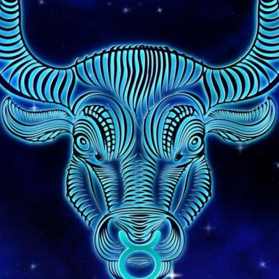 Barbatul Taur descifrat cu bune si cu rele