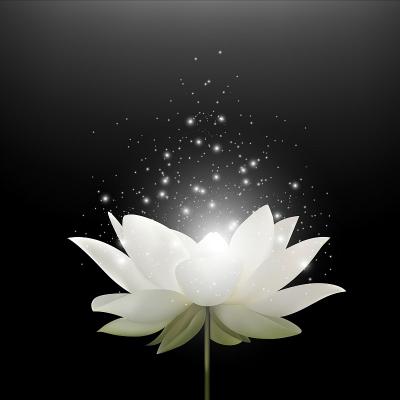 Plante cu efecte magice care te protejeaza impotriva energiilor negative