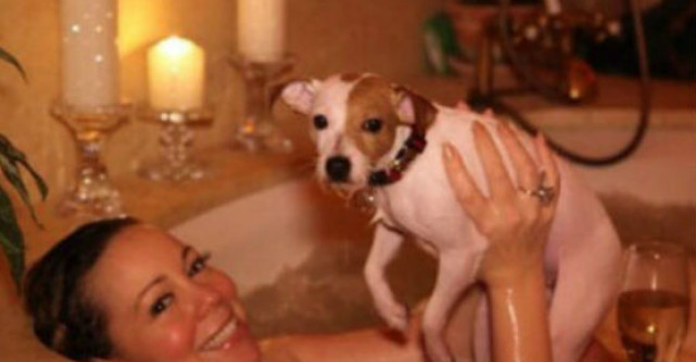 Foto: Cum arata cei mai fericiti catei din lume? Stapana lor cheltuie 45.000 de dolari pe luna pentru intretinerea lor