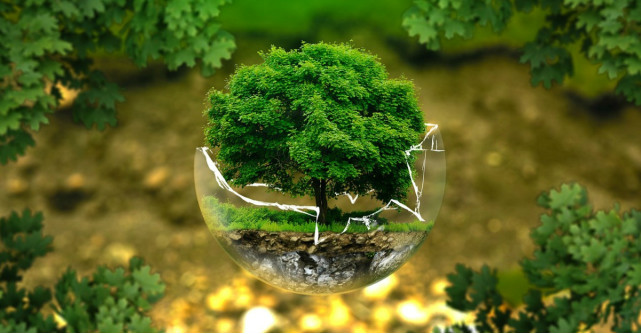 4 strategii pentru o viata eco