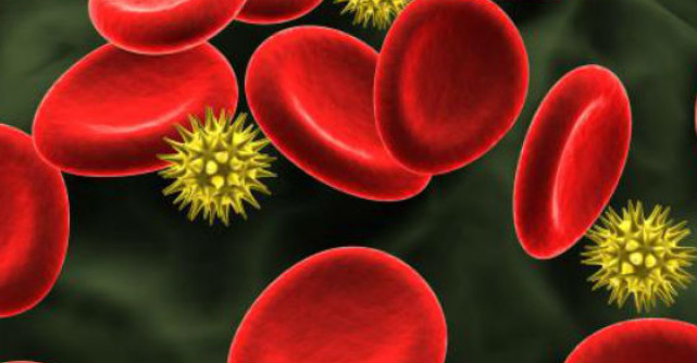 10 Trasaturi de personalitate dominante in functie de grupa sanguina