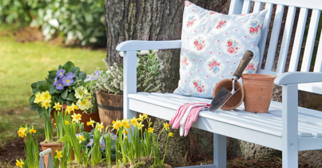 5 pasi pentru a avea o gradina deosebita