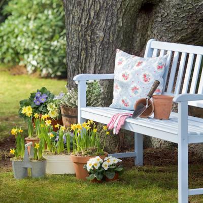 5 pasi pentru a avea o gradina deosebita