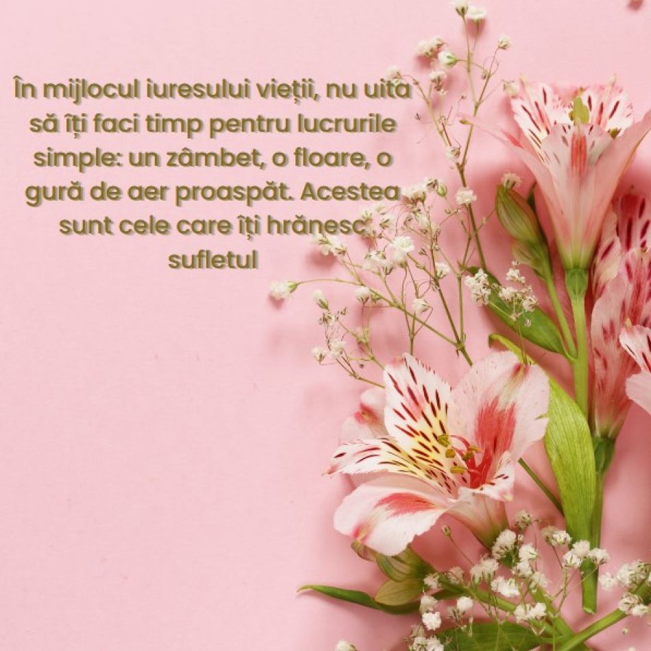 Poze cu flori și mesaje frumoase. Îți vor îmbogăți sufletul și încânta inima