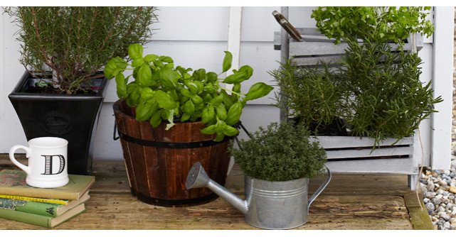 Cum sa iti transformi balconul intr-o mica gradina