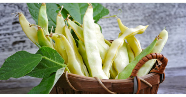 Efectele pe care le are fasolea verde