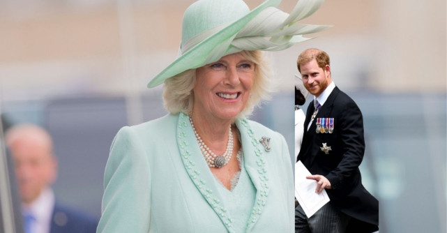Camilla, gest neașteptat față de Prințul Harry, pentru a-l susține pe Regele Charles