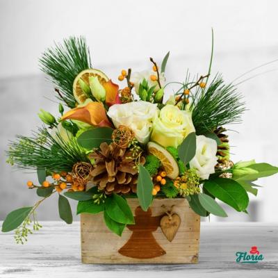 Colectia de Craciun Floria.ro: aranjamente cu aroma de portocala, brazi in ghiveci si serviciu de replantare