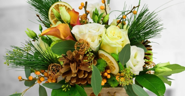 Colectia de Craciun Floria.ro: aranjamente cu aroma de portocala, brazi in ghiveci si serviciu de replantare