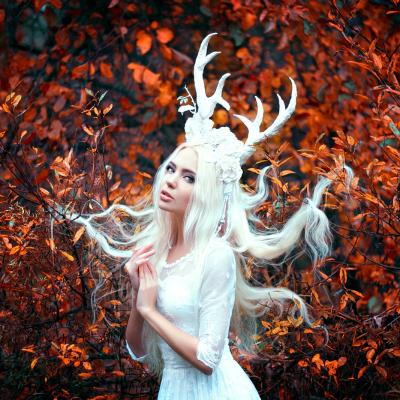 Astrologie: Horoscopul lunii noiembrie pentru fiecare zodie
